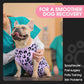 FUAMEY Recovery Suit for Dogs After Surgery,Soft Breathable Dog Bodysuit E-Collar & Cone Alternative Surgical Suit,Male Female Dog Neuter Spay Suits Anti Licking Wounds Onesie Purple Leopard M