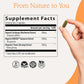 Real Mushrooms RealBoost Capsules – Cordyceps Mushroom, Panax Ginseng & Guayusa Extract – for Overall Wellness & Energy Support – Vegan, Non-GMO, No Fillers – 60 Count Mushroom Supplement Blend