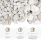 White River Rocks 40lbs, 2-3 Inch Natural Unpolished Bulk Pebbles, Hand-Picked Premium Stones for Landscaping and Garden Design Fish Tank, Flower Pots, Pathways and Backyard