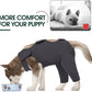 Kuoser Dog Surgery Recovery Suit, Thigh Wound Protective Sleeve for Dogs, Dog Recovery Sleeve for Female Male Dogs, Pet Surgical Suit for Spay Neuter, Dog Onesie After Surgery, Gray S