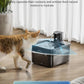 DownyPaws Battery Operated Cat Water Fountain, 84oz/2.5L Fursink Wireless Cat Waterer Fountain with Motion Sensor, BPA-Free, Black with 6 Filters