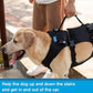 Dog Lift Harness, Rehabilitation Lifts Vest for Dogs, Support & Recovery Sling, Adjustable Breathable Lifting Straps for Old, Joint Injuries, Arthritis, Paralysis Dogs Walk (S, Black)