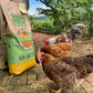 Non-GMO High-Protein Layer Blend 40 lb