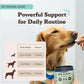 Natural Dog Company Vet Strength Hip & Joint Chews for Senior Dogs (90ct) Joint & Flexibility Support, Arthritis Relief for Senior Dogs, 1.3X Glucosamine, 2X Green Lipped Mussel & MSM for Dog Mobility