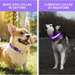 PcEoTllar Light up Dog Collar for Night Walking - LED Dog Collar Light Rechargeable Color Changing, Glow in The Dark Dog Collars Waterproof Glowing Dog Collars for Large Small Medium Dogs, Purple S
