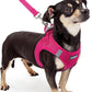 rabbitgoo Dog Harness Small Sized and Leash Set, Step in Soft Light Puppy Vest, Breathable Mesh Pet Harness, Reflective for Safe Easy Walking, Rosa Red XXXS
