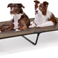 Heeyoo Elevated Dog Bed, Cooling Raised Pet Cot with Chew Proof Washable Breathable Mesh and Metal Frame, Portable Dog Cot Bed with No-Slip Feet for Outdoor or Indoor Use