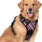 rabbitgoo Dog Harness No Pull with 2 Leash Clips, Adjustable Soft Padded, Reflective Oxford No Choke Pet Vest with Easy Control Handle for Large Dogs, Red Stripe, XL