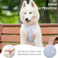 No Pull Dog Harness, Puppy Vest with Front Clip for Small Medium Large Sized Dog(Light Blue,L)