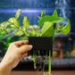 Aquarium Plant Holder with 5 Hole, Plastic Aquatic Plant Pot, Aquarium Planter Cups for Aquarium Plants Live, Aquarium Decor for Fish Tank Live Plants, 1.5inch