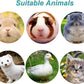 Rabbit Water Bottle 17 OZ Bunny Hanging Water Fountain Automatic Guinea Pig Water Dispenser No Leak Drinking Feeder for Bunny Chinchilla Hamsters Cat Dog Small Animals(Grey)