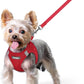 rabbitgoo Dog Harness Small Sized and Leash Set, Step in Soft Light Puppy Vest, Breathable Mesh Pet Harness, Reflective for Safe Easy Walking, Red XS