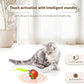 Speedy Tail 2.0 Interactive Cat Toy – Smart Self-Rolling Cat Ball with Feather Tail, Automatic Moving Motorized Toy for Indoor Cats, Chasing & Hunting Fun (Orange)