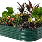 Vego garden Aluzinc Raised Garden Bed Kits, 11" Tall 6 in 1 Modular Metal Raised Planter Bed for Vegetables Flowers Patio Ground Planter Box-British Green