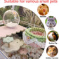 4-Pack Wooden Rat Cage Accessories - Platforms, Ladders & Hammocks Set for Chinchillas, Hamsters, Gerbils (for Iron/Wooden, Acrylic Hamster Cages + Customizable Layout) (11x6.7x5.5)