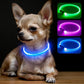 BSEEN Light Up Dog Collar, High Visibility LED Dog Collar Rechargeable- Rainproof TPU Cuttable Glowing Pet Collar for Small Dogs & Cats - Puppy Safety Lights for Night Walking (XS- Blue 40cm)