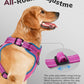 MIDOG No-Pull Dog Harness | Adjustable & Reflective Pet Harness Leash Set for Small Medium Large Dogs Walking, Training| No Choke, Front Clip, Soft Padded Vest with Easy Control Handle - Pink, L