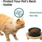 Ceramic Elevated Cat Food and Water Bowl, Kitty Bowl, Raised Cat Dish, Pet Feeder (5.1 in,1 x Starry Sky + Stand)