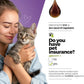 Cat & Dog Urinary Tract Treatment, Bladder & Kidney Support for Dogs and Cats, Powerful Yet Gentle Pet Care, with Liquid Cranberry & Glucosamine, Chicken Flavor, 6 oz Bottle, 1 Pack