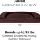 Furhaven Pillow Dog Bed for Large Dogs w/ Removable Bolsters & Washable Cover - Quilted Sofa - Coffee, Jumbo/XL