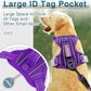 BARKBAY Dog Harness No Pull with ID Tag Pocket - Heavy Duty, Reflective, Easy Control for Large Dogs(Purple,L)