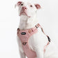 2025 New Edition, Fei & Eve MagEase Dog Harness - 3-Second Magnetic Buckles | 3-Point No-Pull Control | Heavy-Duty 900D Nylon | Dual Safety Handles | Breathable Mesh | Adjustable Fit | Small, Pink