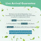 Live Plant - Tall Grass, Vallisneria Gigantea - Easy Care, Moderate to High Light, Bright Green Accent, Freshwater Aquatic Plant for Aquascaping - Lead Bunch