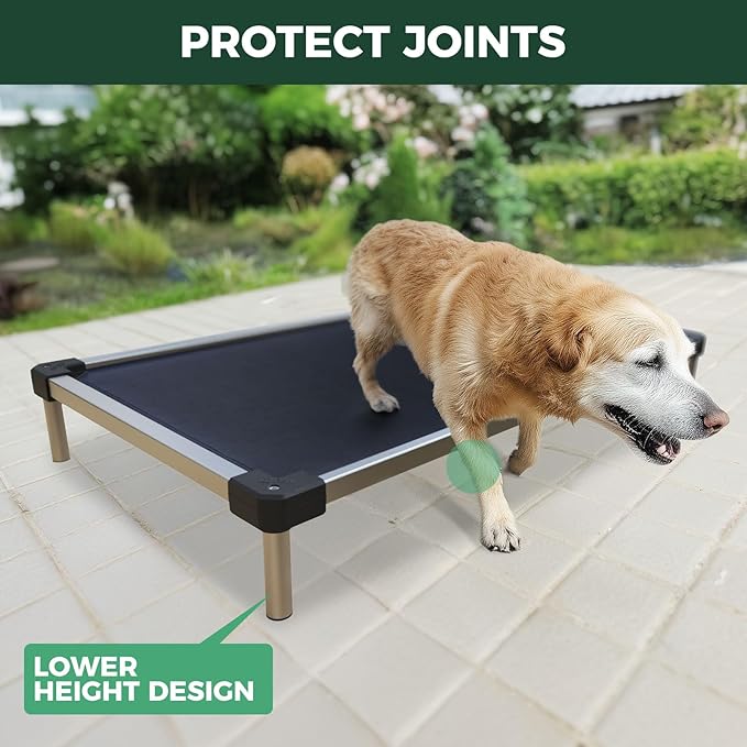FXW TitanNest Chew-Proof Elevated Dog Bed, Raised Cot for Indoor/Outdoor/Camping Use, Durable & Waterproof Cooling Pet Bed for Large Dogs, 50.0" L x 31.0" W x 7.3" H, Black