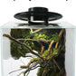 Desktop Glass Plant Terrarium with Grow Light(L7.8 W7.8 H14), for Succulent, Moss, Miniature Gardening Landscape, Betta Fish Tank, Indoor Plant Growth, Office Home Decoration (TimeControlled)