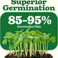 HOME GROWN 𝗨𝗦𝗔 𝗣𝗥𝗘𝗠𝗜𝗨𝗠 55 Vegetable Seeds Pack 28,000+ Non-GMO Heirloom Seeds for Planting, Spring Fall Winter Garden Kit, Survival Seed Vault for Preppers & Gardeners, Gift for Men & Women