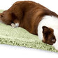 Stoutwool Indestructible Dog Bed - Fluffy Chew Proof Dog Crate Pad - Tough Kennel Pad for Aggressive Chewers - Washable, Ideal for Large Breeds & Fits 36-Inch Crate - 35"x22", Gleam