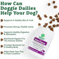 Doggie Dailies 5 in 1 Multivitamin for Dogs, Dog Multivitamin for Skin and Coat Health, Joint Health, Improved Digestion, Antioxidants, Support a Healthy Immune System (Peanut Butter) 225 Soft Chews