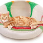 Woolygon Premium Felt Cat Cave Bed – Wool Kitty Beds Handcrafted Kitten Caves Bed for Indoor Cats - Made from 100% Eco-Friendly Merino Wool, Foldable Cat Hidewawy Covered Cat House Pod (Candy Swirl)