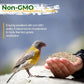Wildlife Sunflower Hearts & Chips for Bird Feeding and Wildlife Bird attracting, Non-GMO and USA Grown, 25 lbs