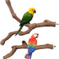 Allazone 4 PCS Natural Wood Bird Perch Stand, Bird Parrot Perch Stand Set, Wooden Parrot Perch Stand Perch Platform Cage Accessories for Parrotlets Cockatiels Budgies Parakeets