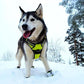 TRUE LOVE Truelove Adjustable No-Pull Dog Harness Reflective Pup Vest Harnesses Comfortable Control Brilliant Colors TLH5651(Neon Yellow,S)