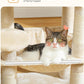 Cat Tree for Indoor Cats, 45.7" Multi-Level Cat Tower with Large Metal Frame Hammock, Cat Condo with 4 Scratching Posts and Top Perch for Small Medium Cat, Beige