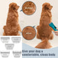 5PCS Wide Blades for Dog Grooming Blades Compatible with Andis Dog Clipper,Dog Clipper Blades for Oster A5,Wahl km10 Dog Clippers Stainless Steel for Animal Dog,Cat,Horse,Size:#10W+30W+4FW+5FW+7FW