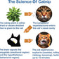 The Cat's MeWow 100% Pure Catnip - All Natural, Non-Addictive Treat for Cats & Kittens
