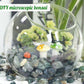 Aquatic Agate Aquarium Gravel Rocks Natural Tumbled Healing Crystal Chips Bulk Gemstones Crushed Stones for Fountain Vase Filler Planters Decorative Fish Tank Potted Reiki Energy Balancing 0.45lb