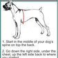 Doggie Stylz Blind Dog Harness No Pull No Escape Dog Vest for Blind Dogs Adjustable Vest with Handle Blind Dog Accessories and Patches for Training and Mobility