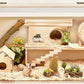 Prolee Hamster Cage Chew Proof, Mice and Rat Habitat Openable Top with Acrylic Sheets, Hamster Habitat Solid Built (32”L x 16" W x 16" H)