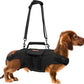 Dog Lift Harness, Full Body Support with Adjustable Control Handle for Medium Senior Dogs, Post-Surgery Recovery & Joint Problems (Oxford Cloth, M)
