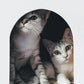 Disposable Litter Boxes for Kittens - Multi-Value (15 Pack), Kitten, Rabbit, and Senior Cat, Shallow, Small, Sanitary Must-Have 16.5 x 12.5 x 2 in.