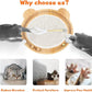3-in-1 Cat Toys, Scratcher, Toys for Indoor Cats, Natural Sisal Scratching Board, Kitten Interactive with Ball Track & Retractable Wand Toy & Feather