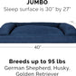 Furhaven Pillow Dog Bed for Large Dogs w/ Removable Bolsters & Washable Cover - Quilted Sofa - Navy (Blue), Jumbo/XL