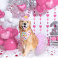 SCENEREAL Dog Birthday Bandana with Hat and Dress Girl Set, Large Dog Birthday Party Supplies, Cute Pink Tutu Skirt Outfit for Medium Large Dogs