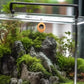 2 Pack Jumping Spider Enclosure Accessories with Walnut Shell Moss and Magnet, Natural Material Jumping Spider Hide