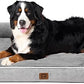 EHEYCIGA Orthopedic XL Dog Beds, Waterproof Memory Foam Dog Bed for Extra Large Dogs, Non-Slip Bottom and Egg-Crate Foam Big Pet Couch Bed with Washable Removable Cover, Grey