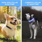PcEoTllar Light up Dog Collar Lights for Night Walking - LED Dog Collar Light Rechargeable Color Changing, Glow in The Dark Dog Collars Waterproof Glowing Dog Collars for Large Small Medium Dogs
